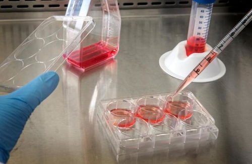 奧浦邁回應(yīng)監(jiān)管問詢，深入解讀產(chǎn)品競爭格局與技術(shù)地位